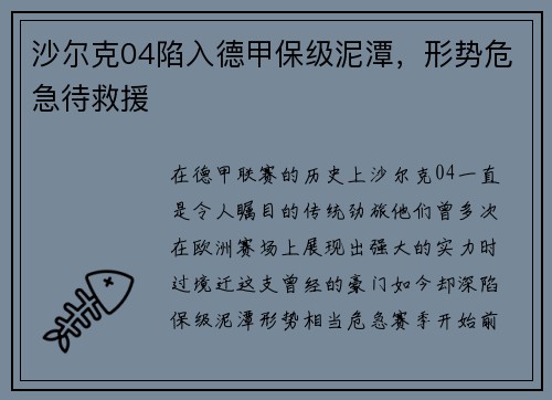 沙尔克04陷入德甲保级泥潭，形势危急待救援